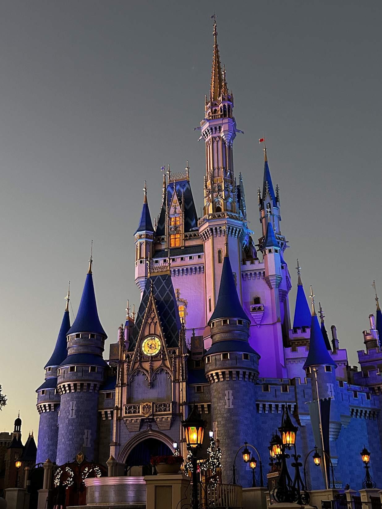 Disney Magic Kingdom Castle